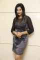 Telugu Actress Zeba Anjum Photos @ Pellante Movie Launch
