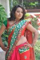 Hyderabad Model Zeba Hot Saree Stills