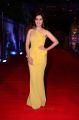 Actress Rashi Khanna @ Zee Cine Awards Telugu 2018 Red Carpet Stills