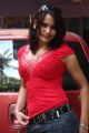 Tamil Actress Zita Mariya Hot Photoshoot Stills