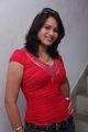 Tamil Actress Zita Mariya Hot Photo Shoot Stills