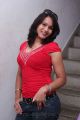 Tamil Actress Zita Mariya Hot Photoshoot Stills in Red Dress