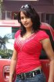 Tamil Actress Zita Mariya Hot Photo Shoot Stills